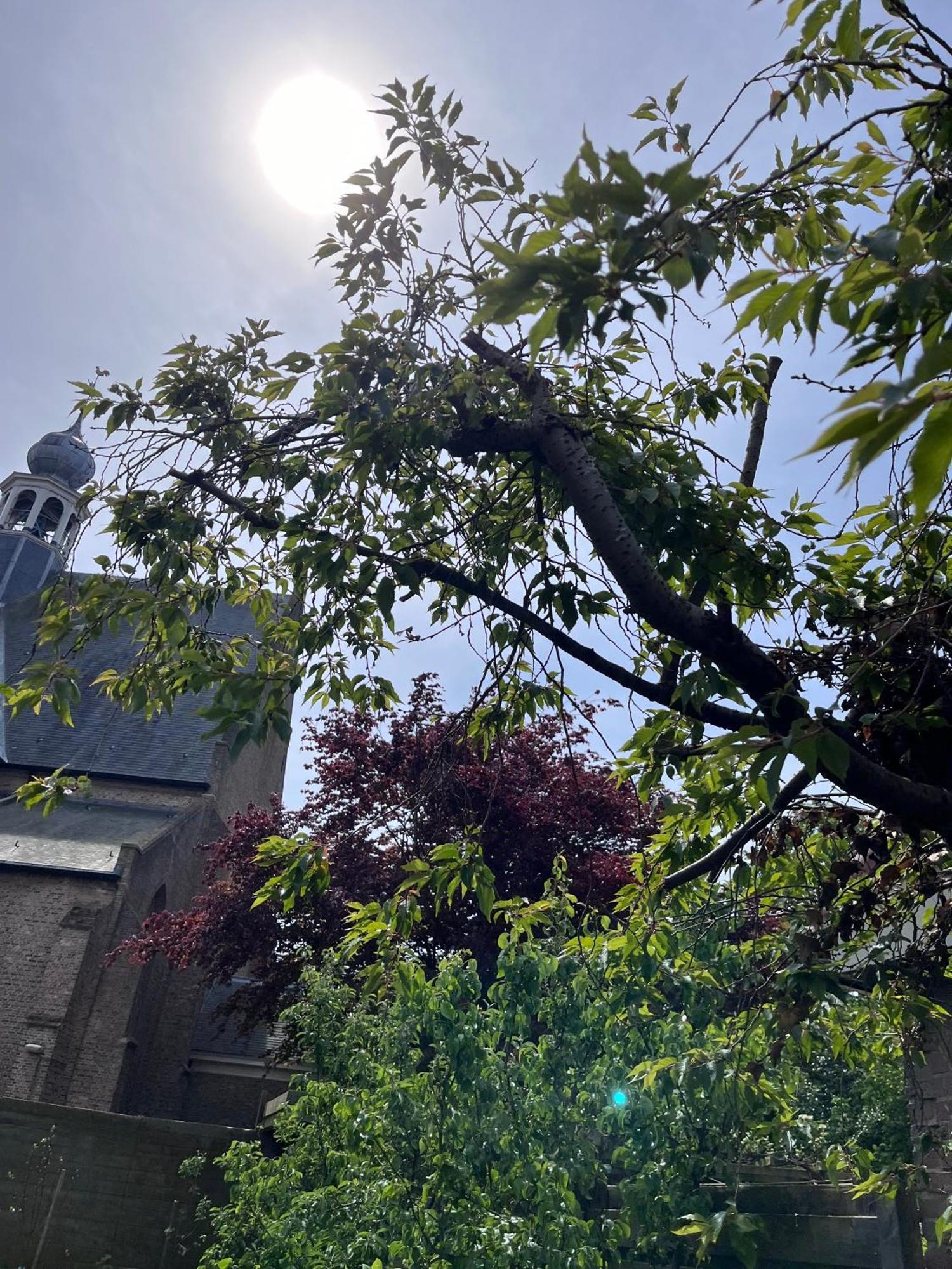 Appartement 'T-Yesenaertje Yerseke Exteriör bild